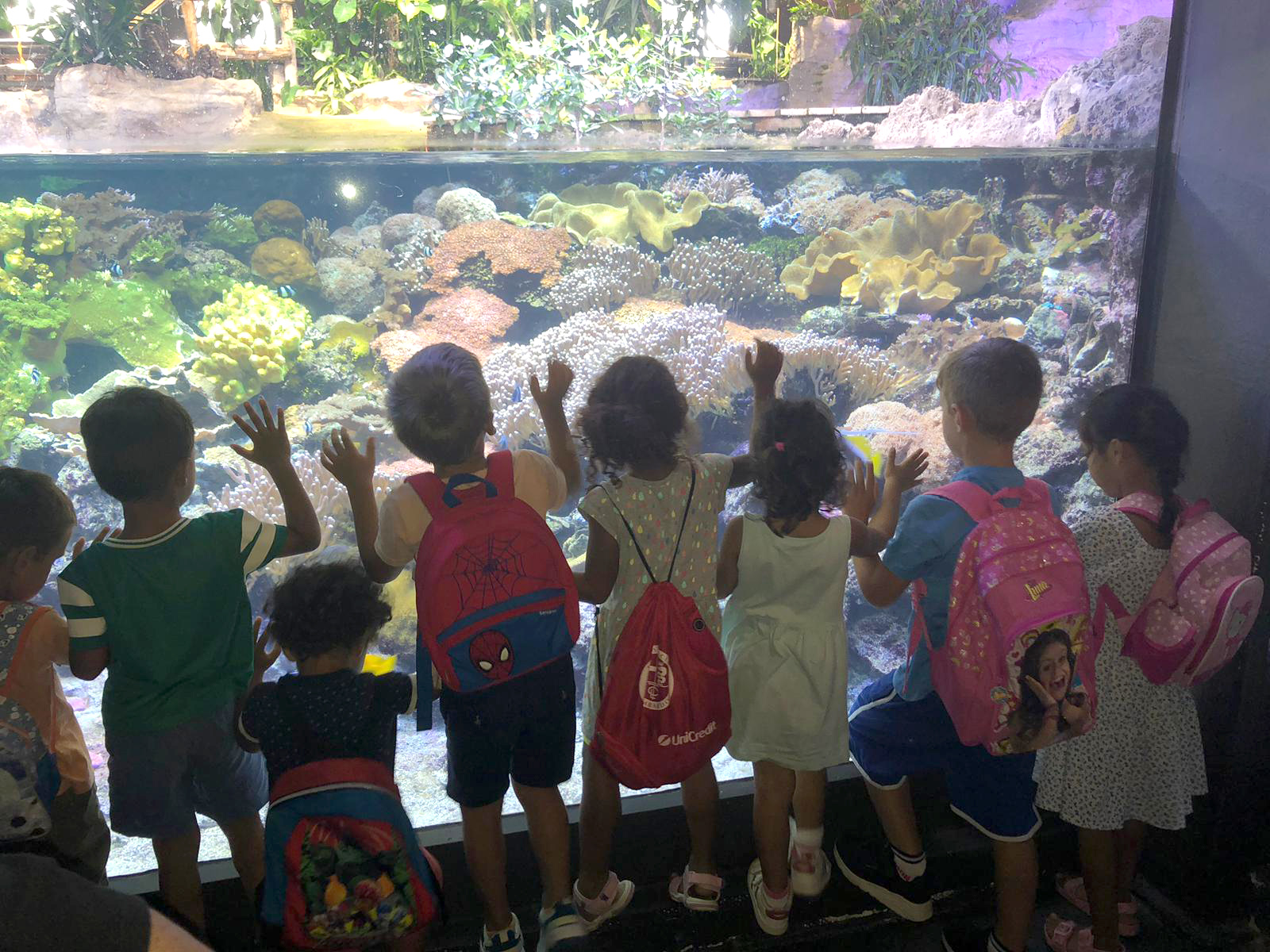 Pianeta Blu - Acquario di Genova - Associazione CAF