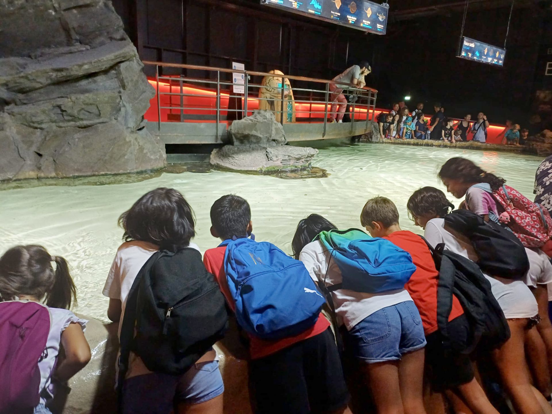 Pianeta Blu - Acquario di Genova - Associazione CAF