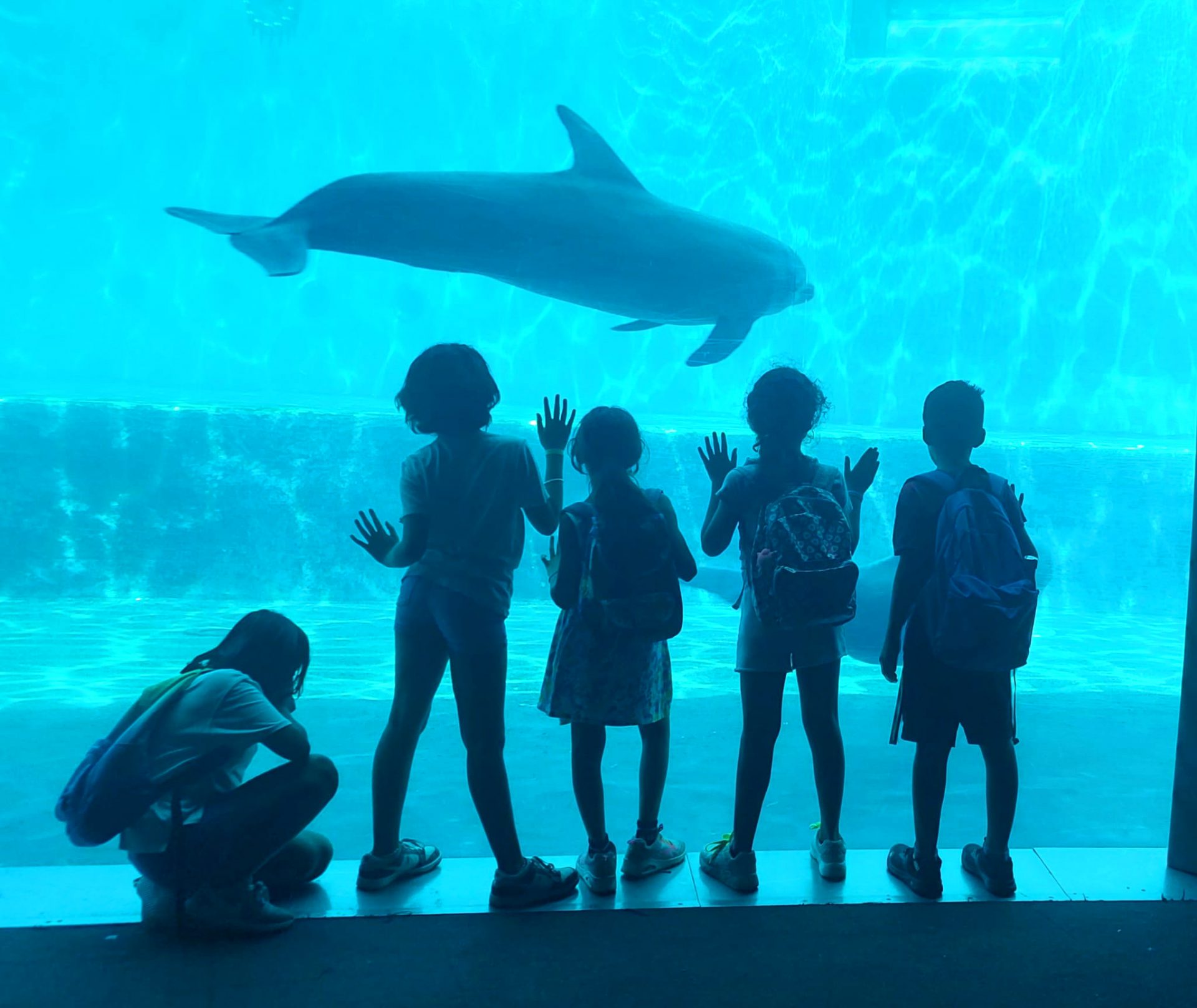 Pianeta Blu - Acquario di Genova - Associazione CAF