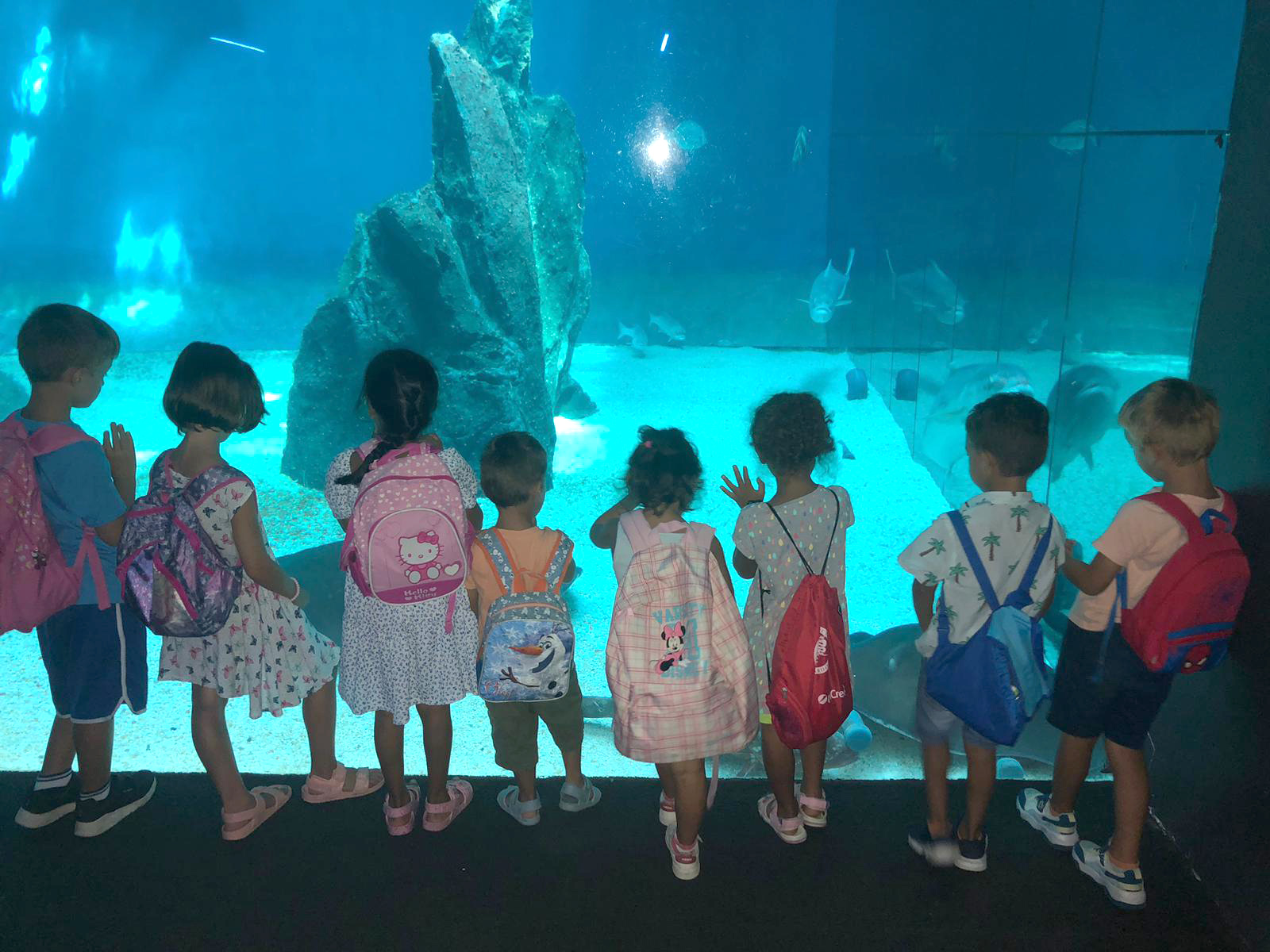 Pianeta Blu - Acquario di Genova - Associazione CAF