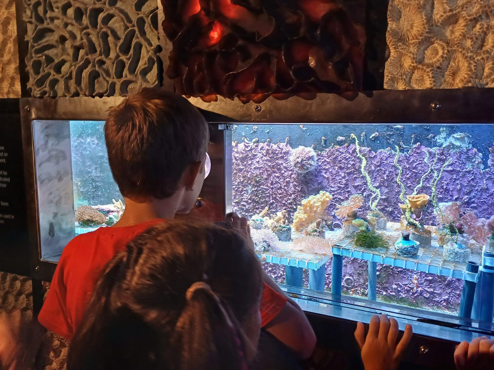 Pianeta Blu - Acquario di Genova - Associazione CAF